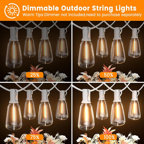 100FT ST38 Vintage LED Patio String Lights